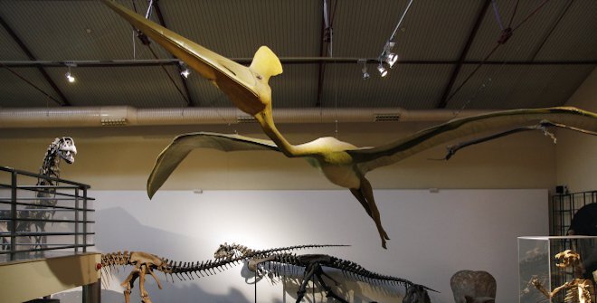 Ayuntamiento Madrid tweet media