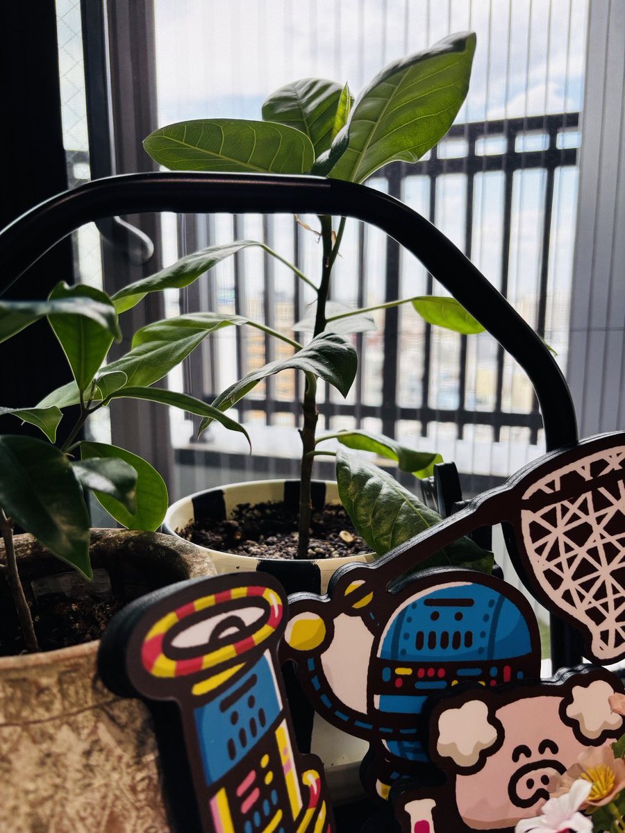 株式会社ピンクル / PinCool, inc. tweet media