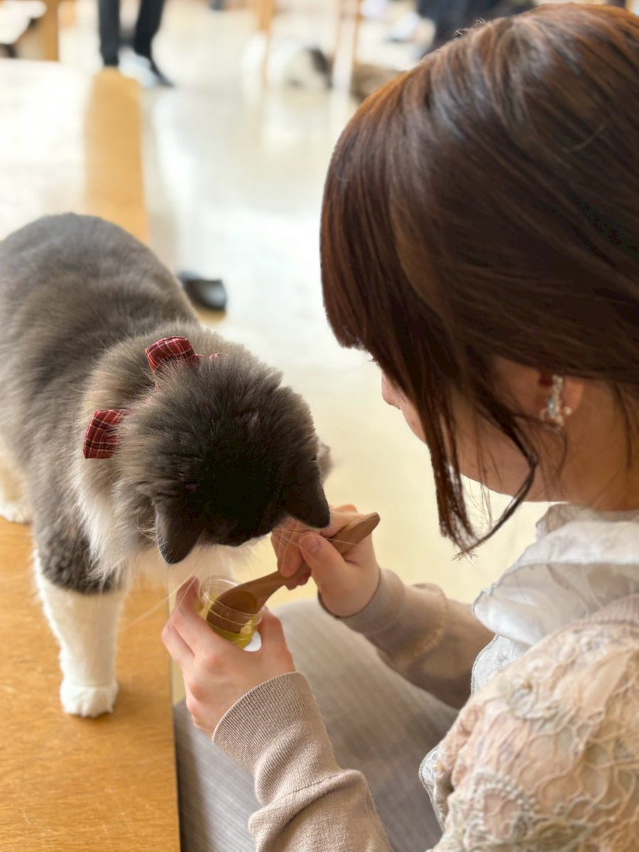 木村花稟 tweet media