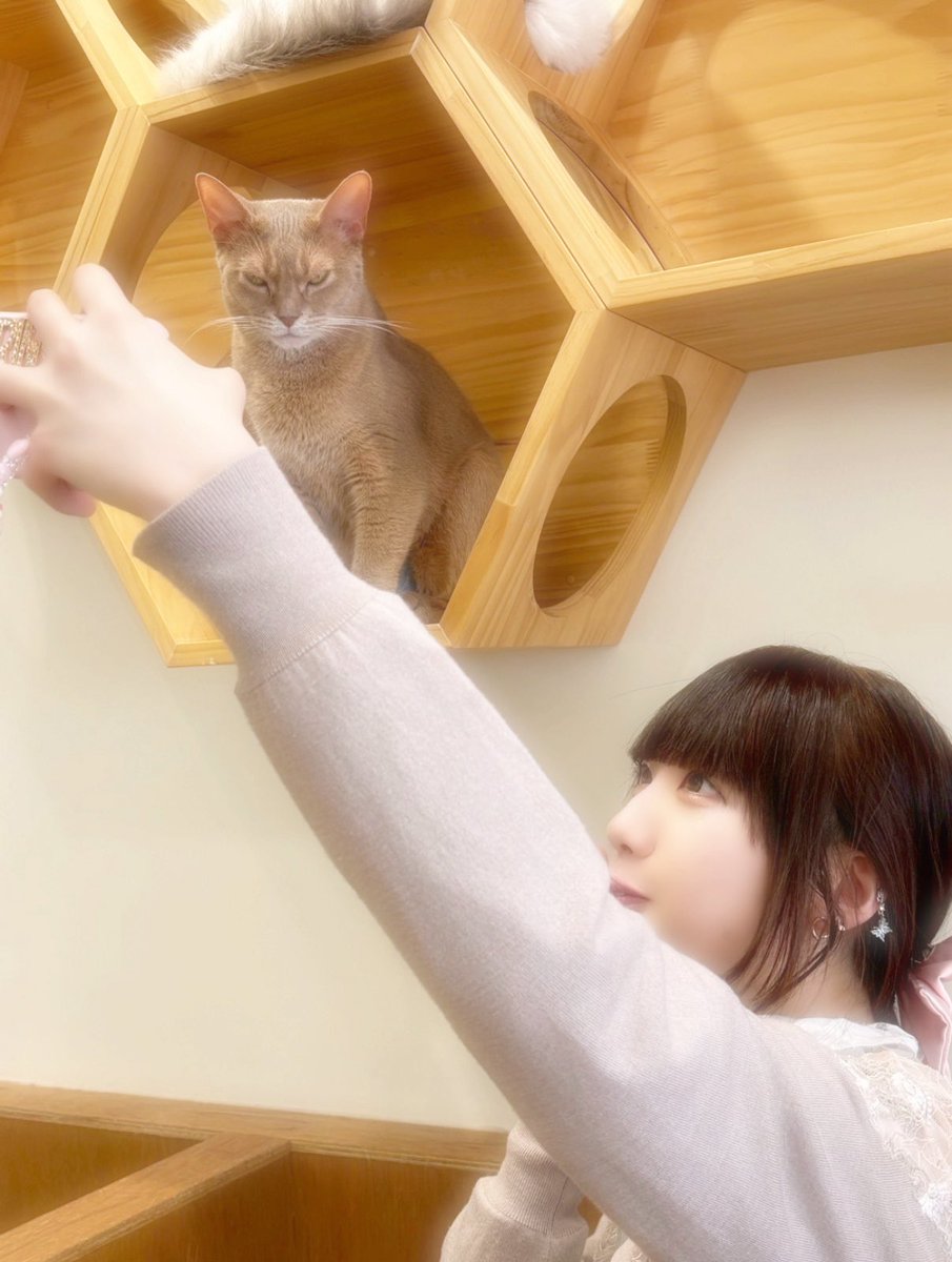 木村花稟 tweet media