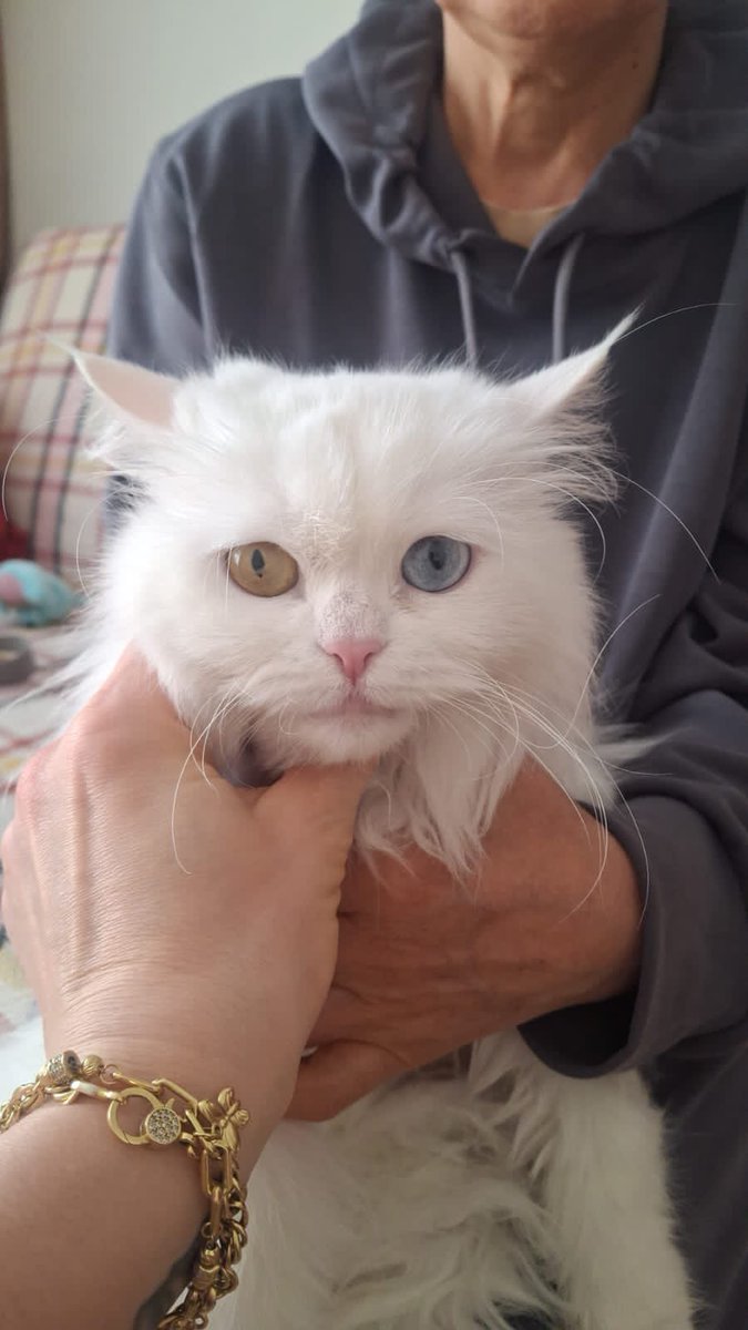 Murat de Bergerac tweet media