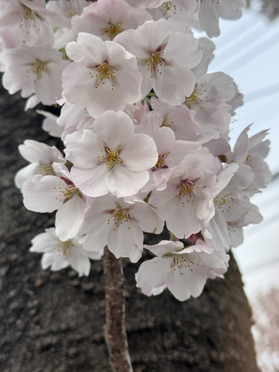 せら（新垢） tweet media