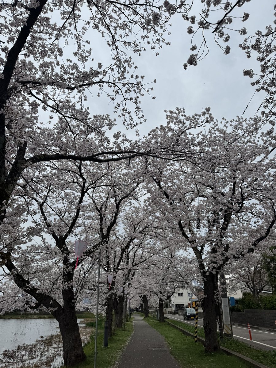 せら（新垢） tweet media