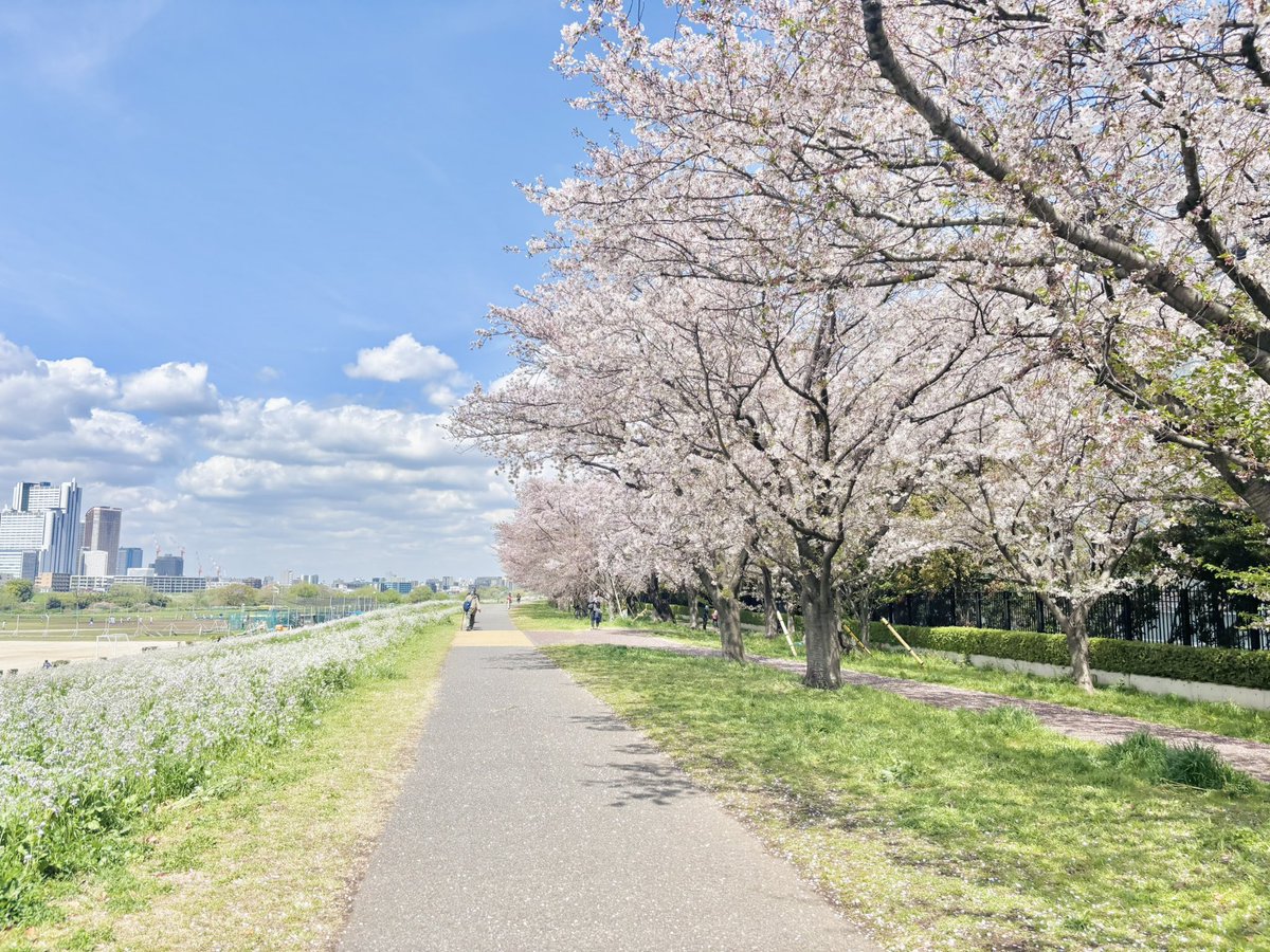 ゆいか #たまにオムライスつくる助産師 tweet media