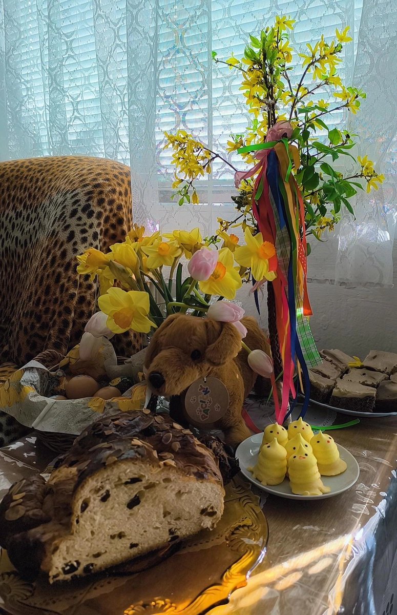 HOpalkova's tweet image. Červené pondělí, dobré ráno 🤗 

Chlapci, buďte jemní na děvčata ❤️ ještě, že u nás nic takového jako mrskut letos konat nebude.. 🐣🐰🌷

"Hody, hody, doprovody já jsem malý zajíček..!" 🐰
Krásné svátky jara všem.🐣🐤🐥

#cervenepondeli #velikonoce🐣🐇🥚