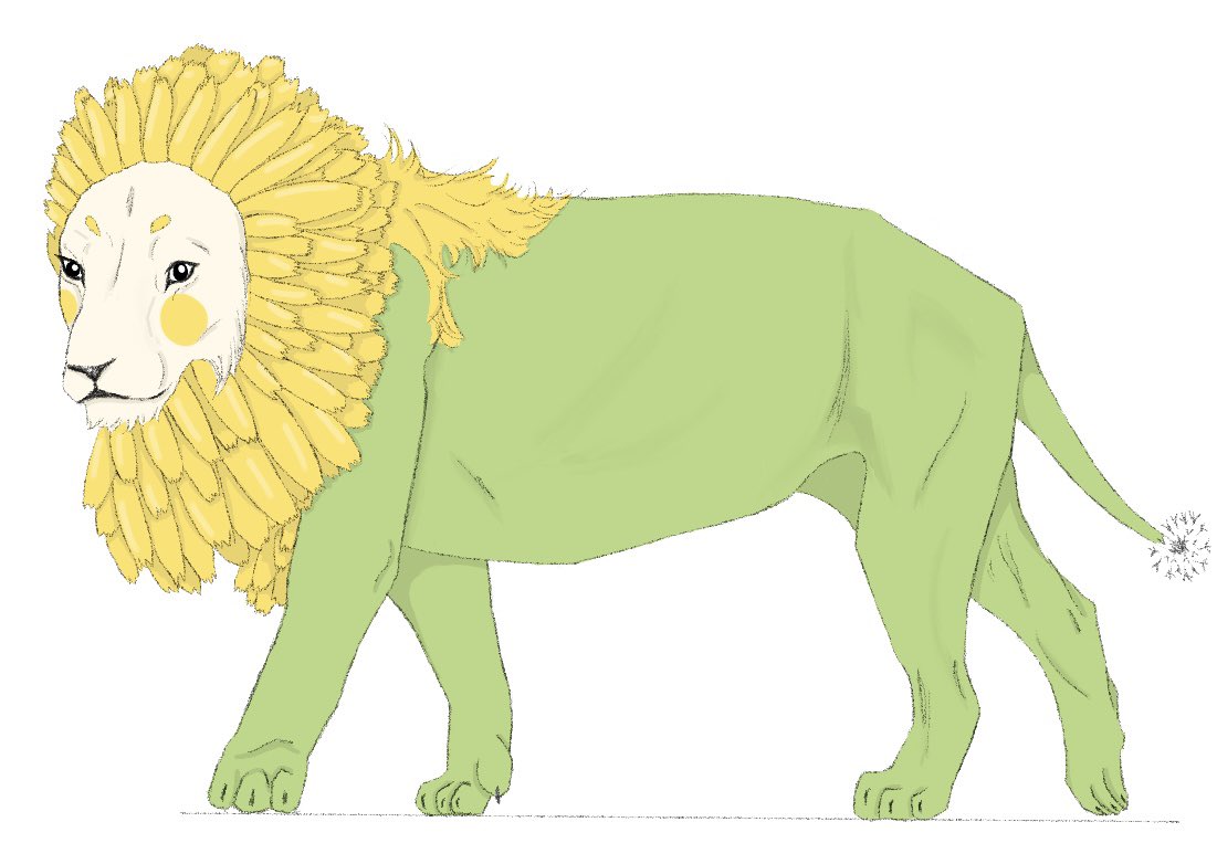 Gia🫧🐨 tweet media