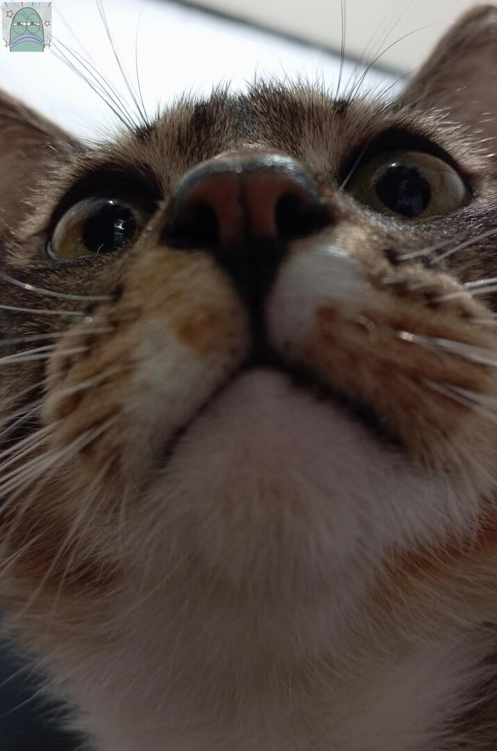 Tanyarlfes tweet media