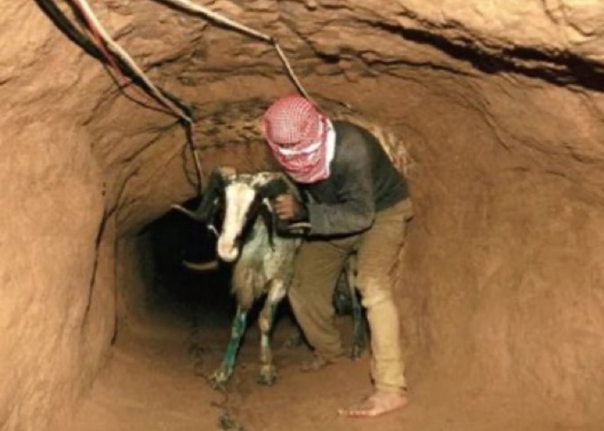 Concerned British Citizen tweet media