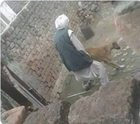 Concerned British Citizen tweet media