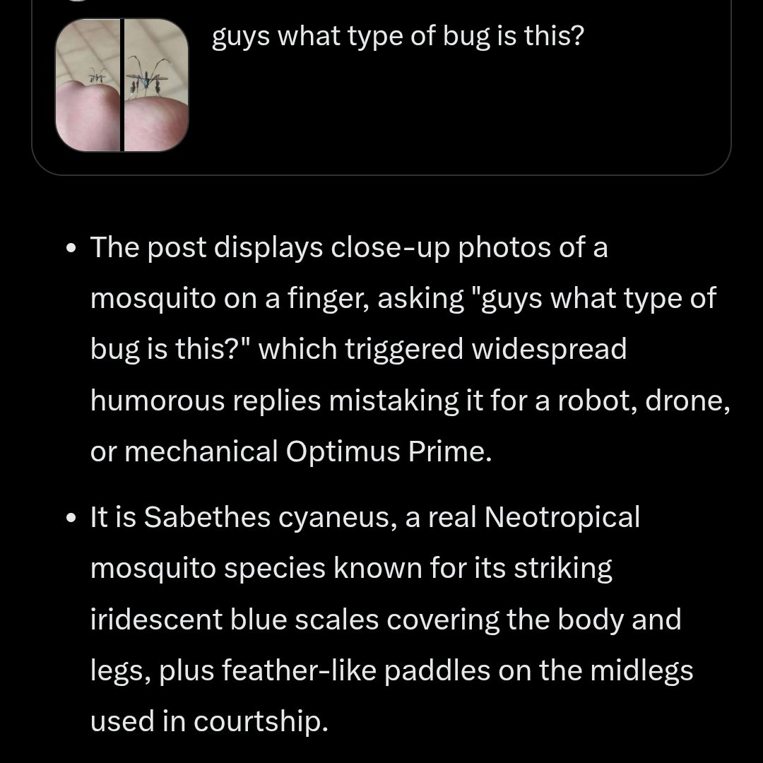 Mike J Hebblethwaite tweet media