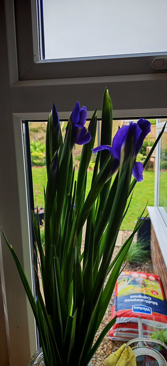 Andy Gee tweet media