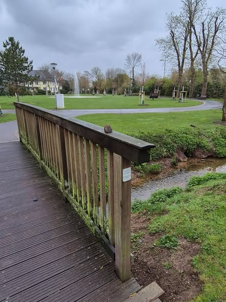 yolanda schultes tweet media