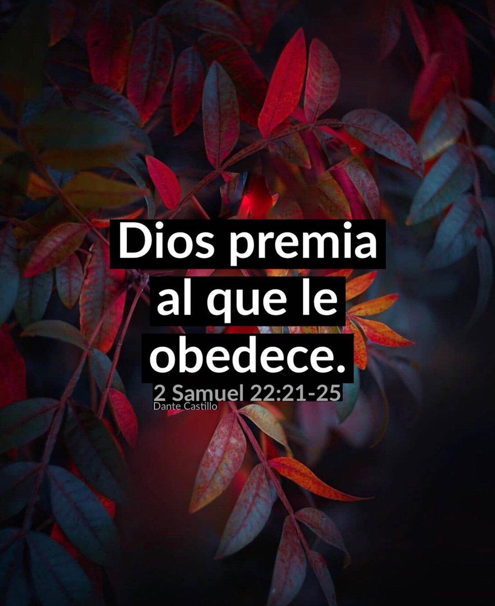 DiosUneSusHijos's tweet photo. https://t.co/cPSsmoX2Gp