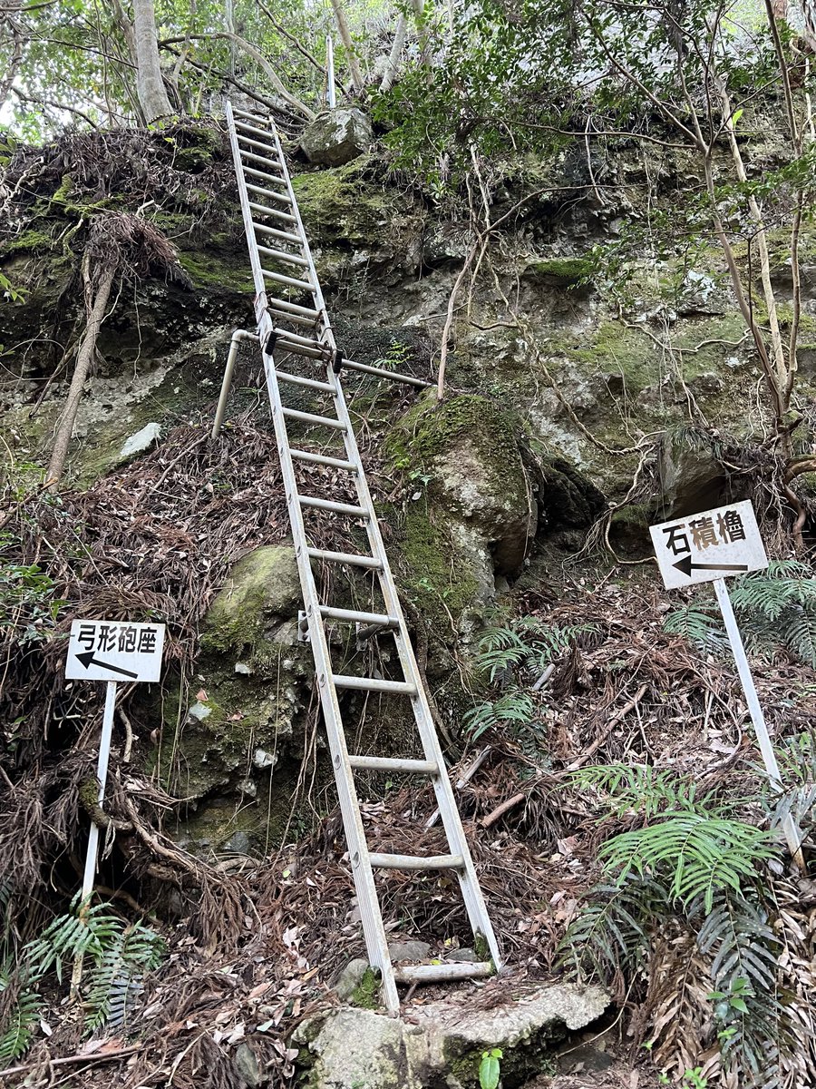 鞆(とも) tweet media