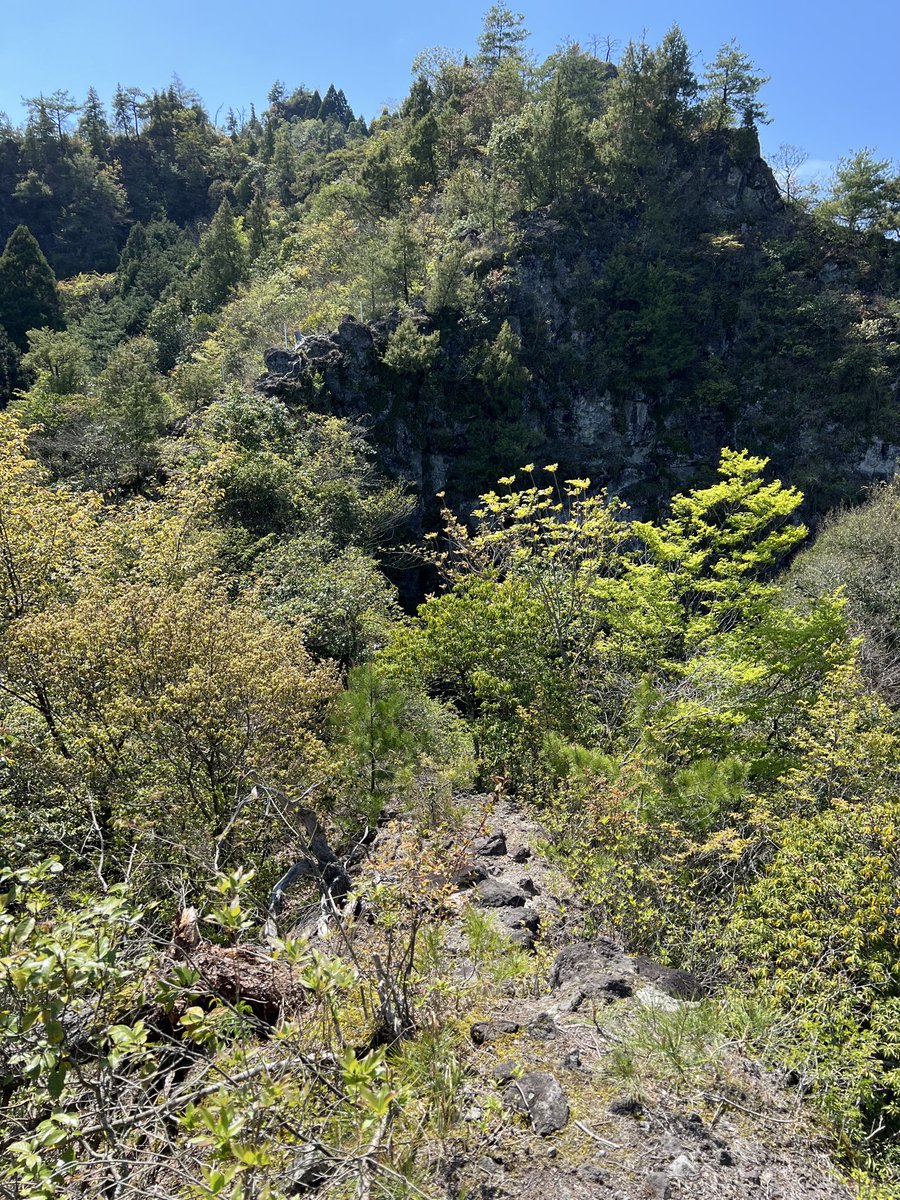 鞆(とも) tweet media