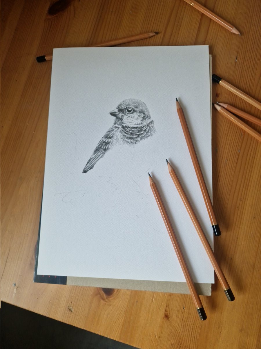 Wiktoria Borys art 🇵🇱 tweet media