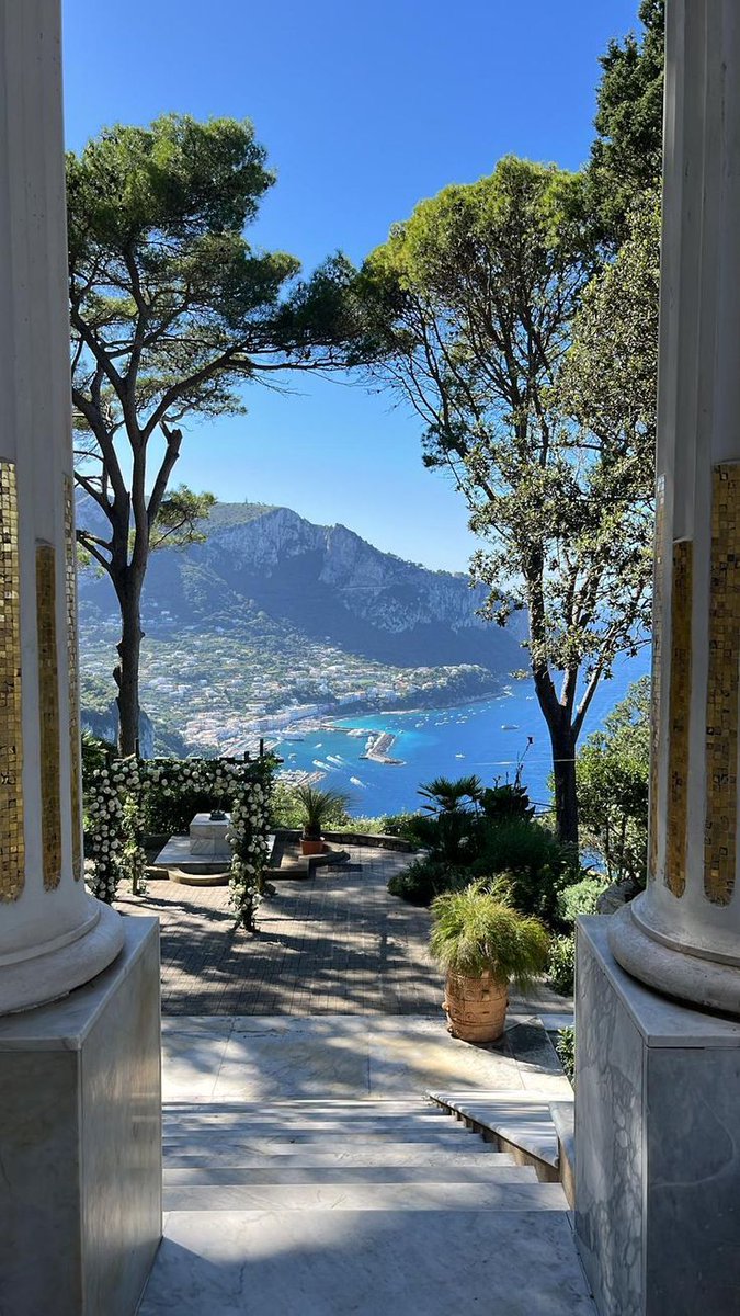 Ivan ⚜️ tweet media