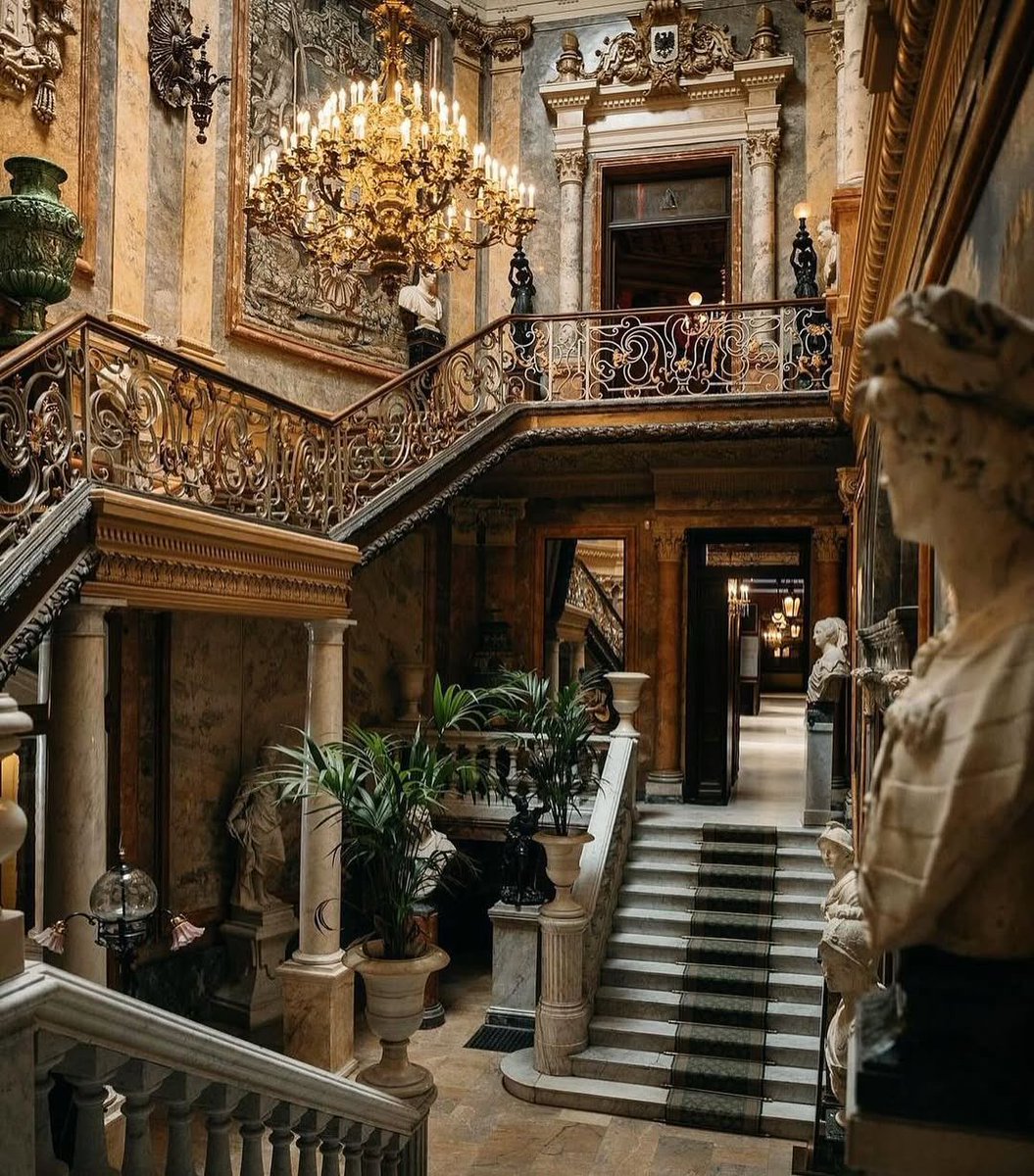 Miscelánea🍀 tweet media