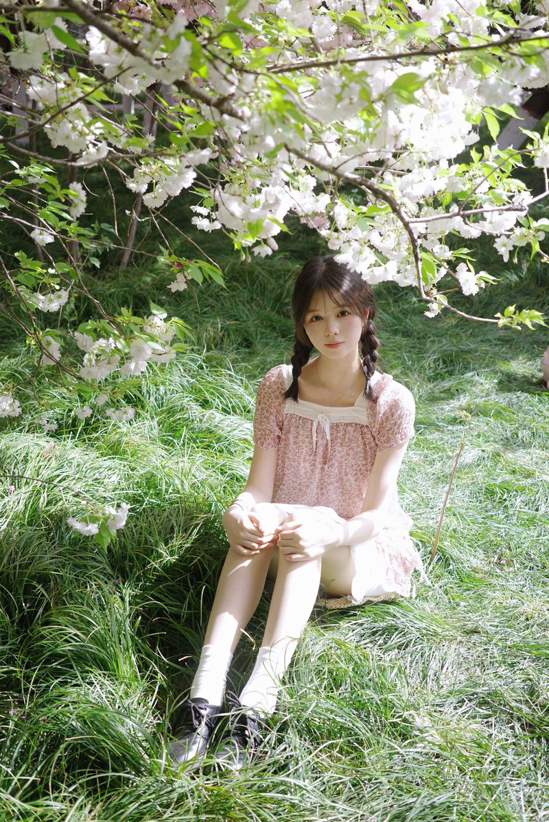 暴躁的葵花油 tweet media