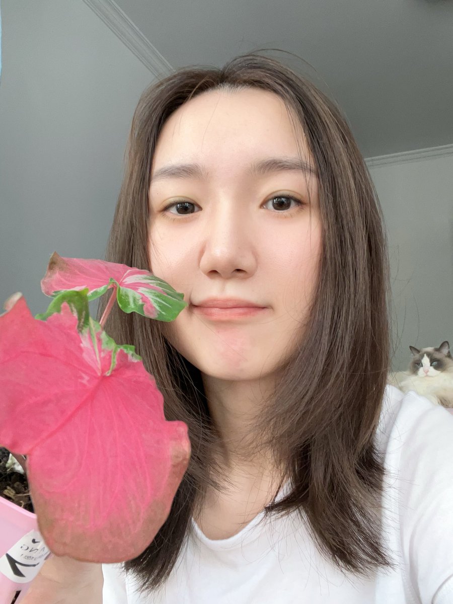 嗯哼哼 结果是在家务农