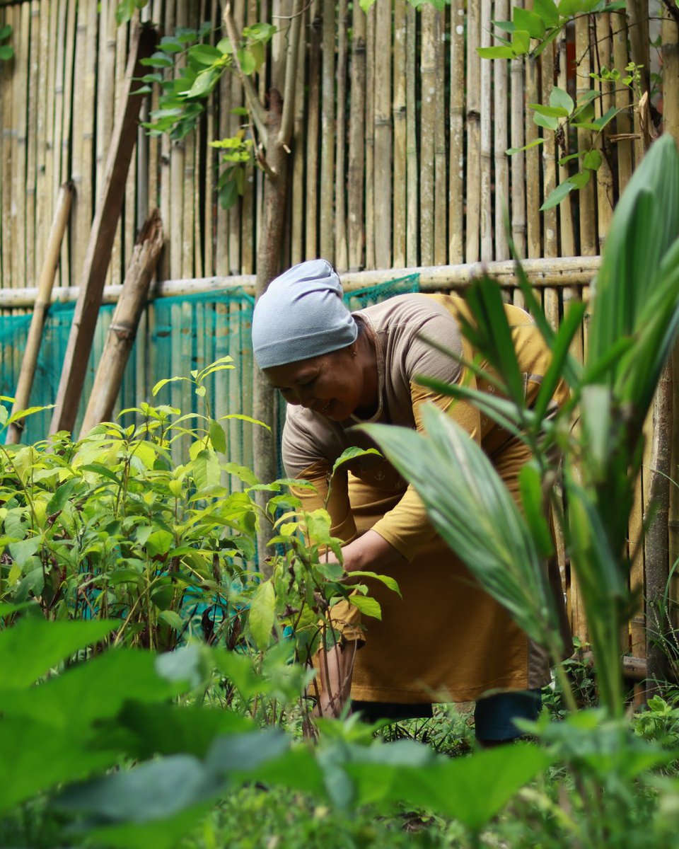 Tree-Nation tweet media