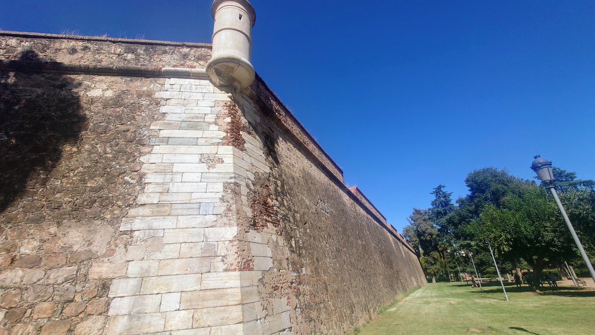 Marcus Cribb tweet media