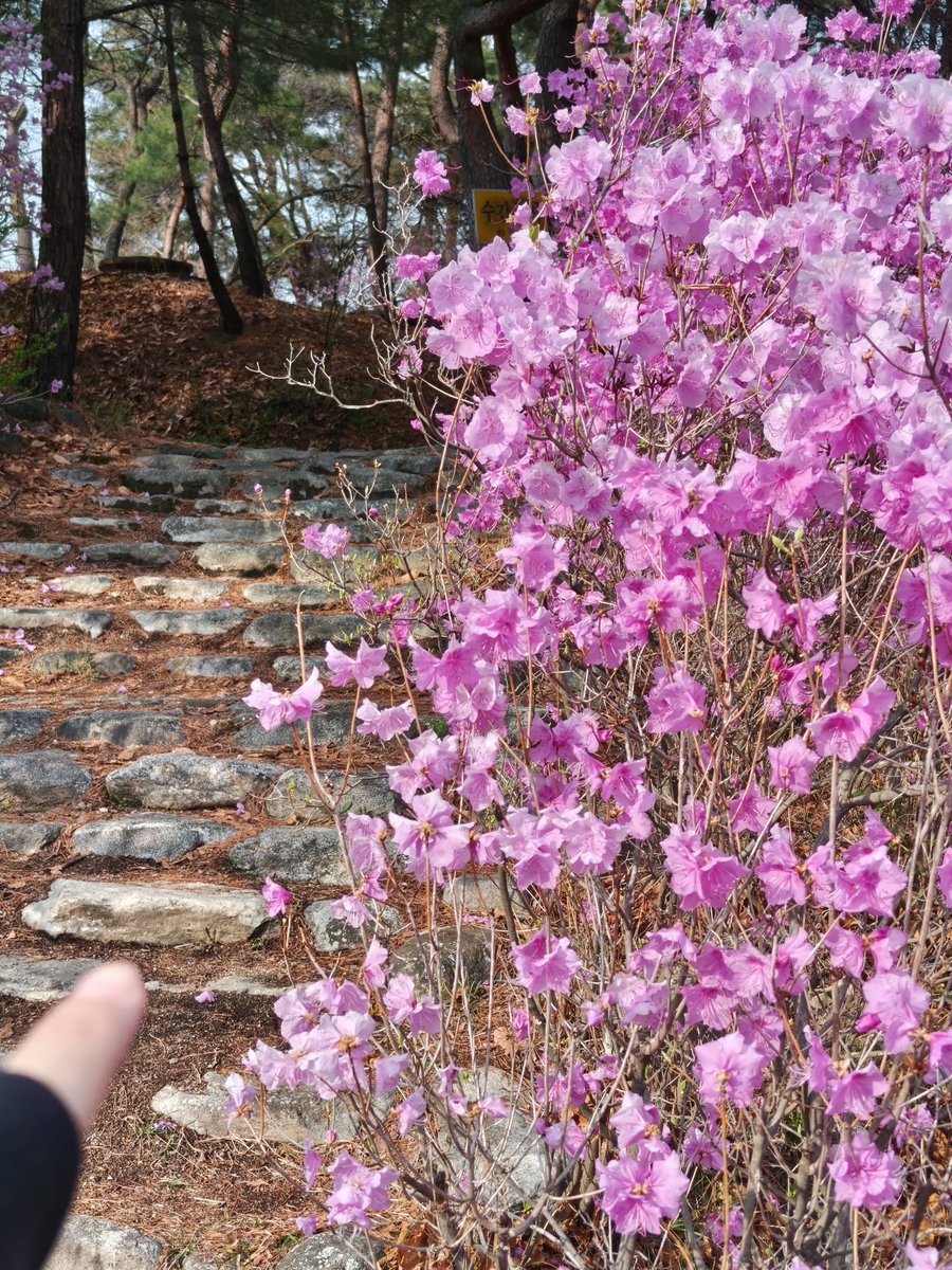 KimiRei雨♦️ tweet media