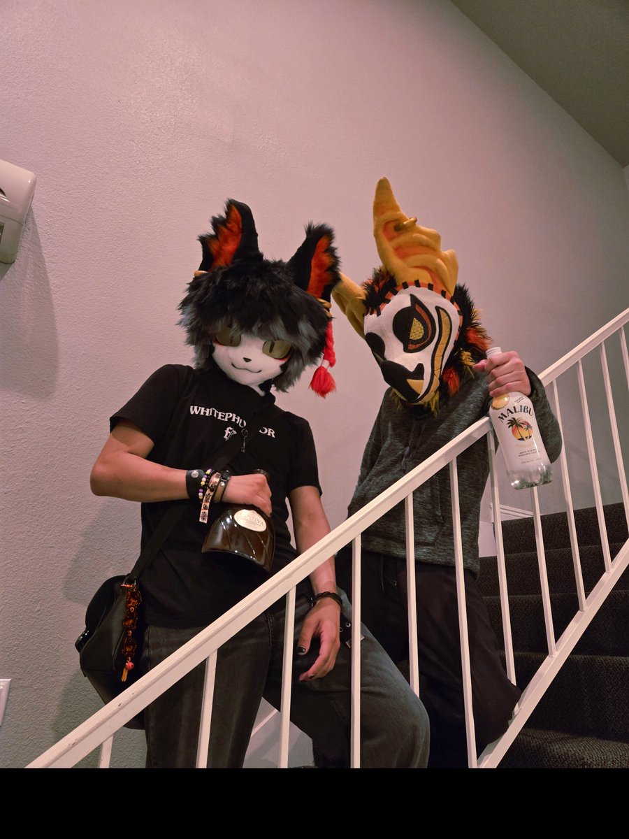 ThermoTheBat's tweet image. bro you have to go on this dead dog with us