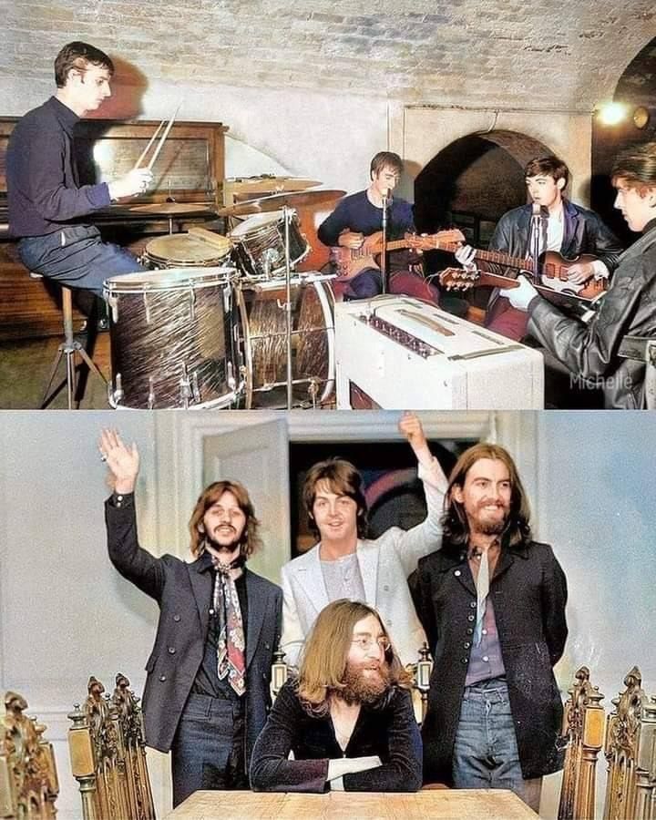 Laurent The Walrus tweet media