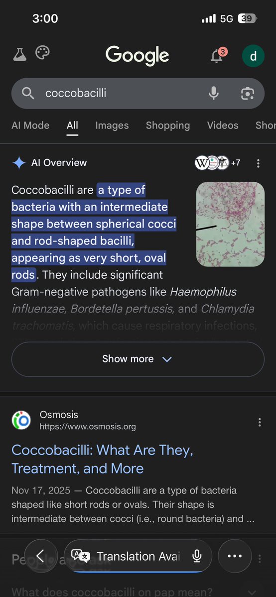 damir tursyn tweet media