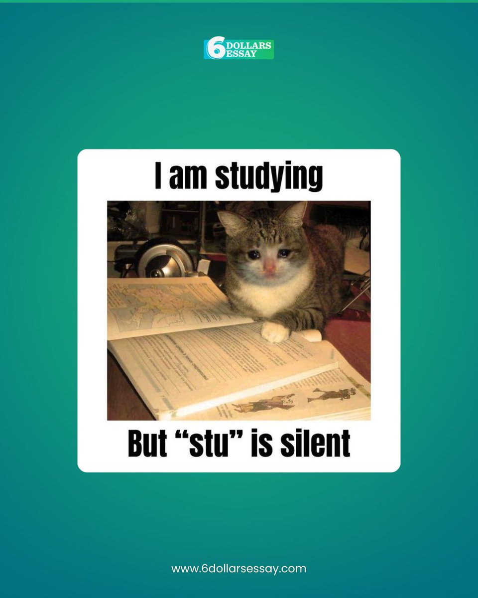 6DollarsEssay's tweet image. My brain is officially 100% "dying" and 0%
"studying."

Tag a friend who’s currently struggling too!
.
.
.
.
#studying #struggling #collegelife #meme #exams
#usa