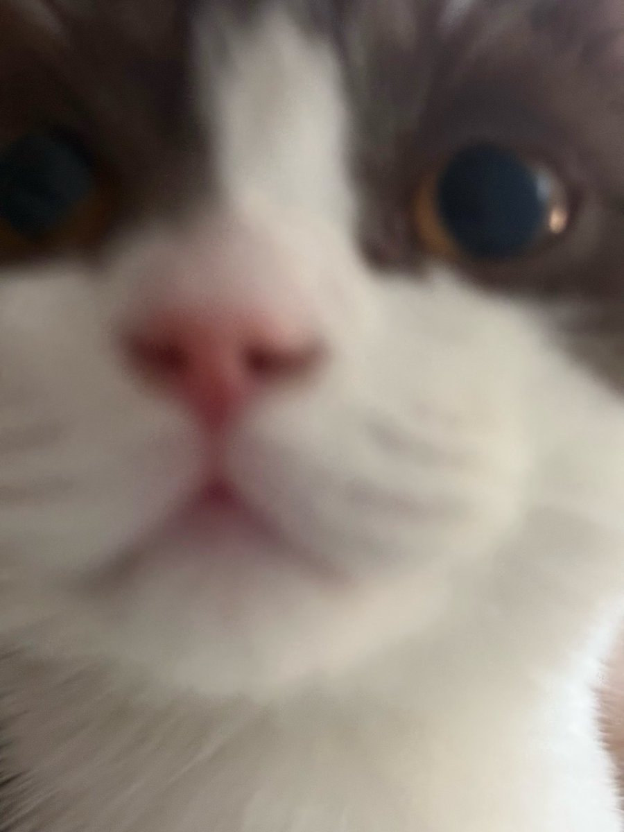 Harris Caine ⛓️【EOS】 tweet media