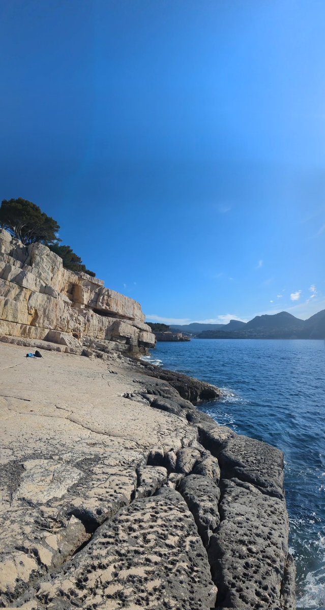 🇵​🇦​🇸​🇨​🇦​🇱​ 🌞🌞😎 tweet media