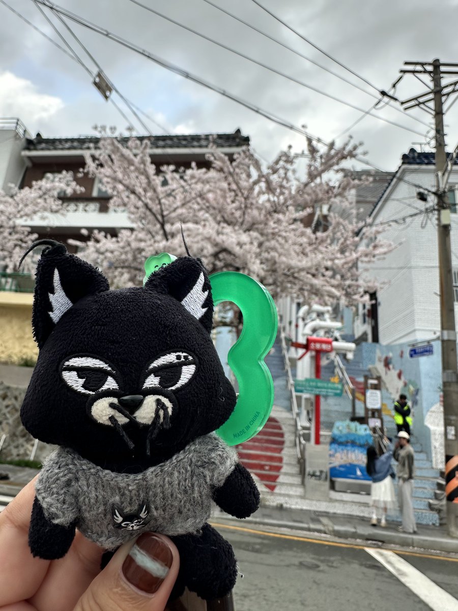 다우 ◡̈ 🧣🎄✨𖥉 อิมดาวอน tweet media