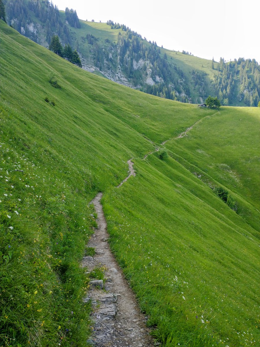 HikingSwitzerland tweet media