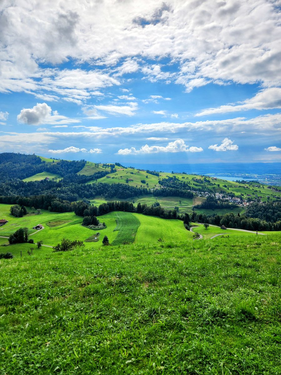 HikingSwitzerland tweet media