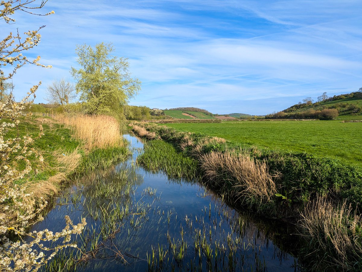 glynn_adams's tweet image. A slight air frost overnight here in #somerset , min of -0.6c at Yeovilton. 
It's a beautiful morning 🌤️