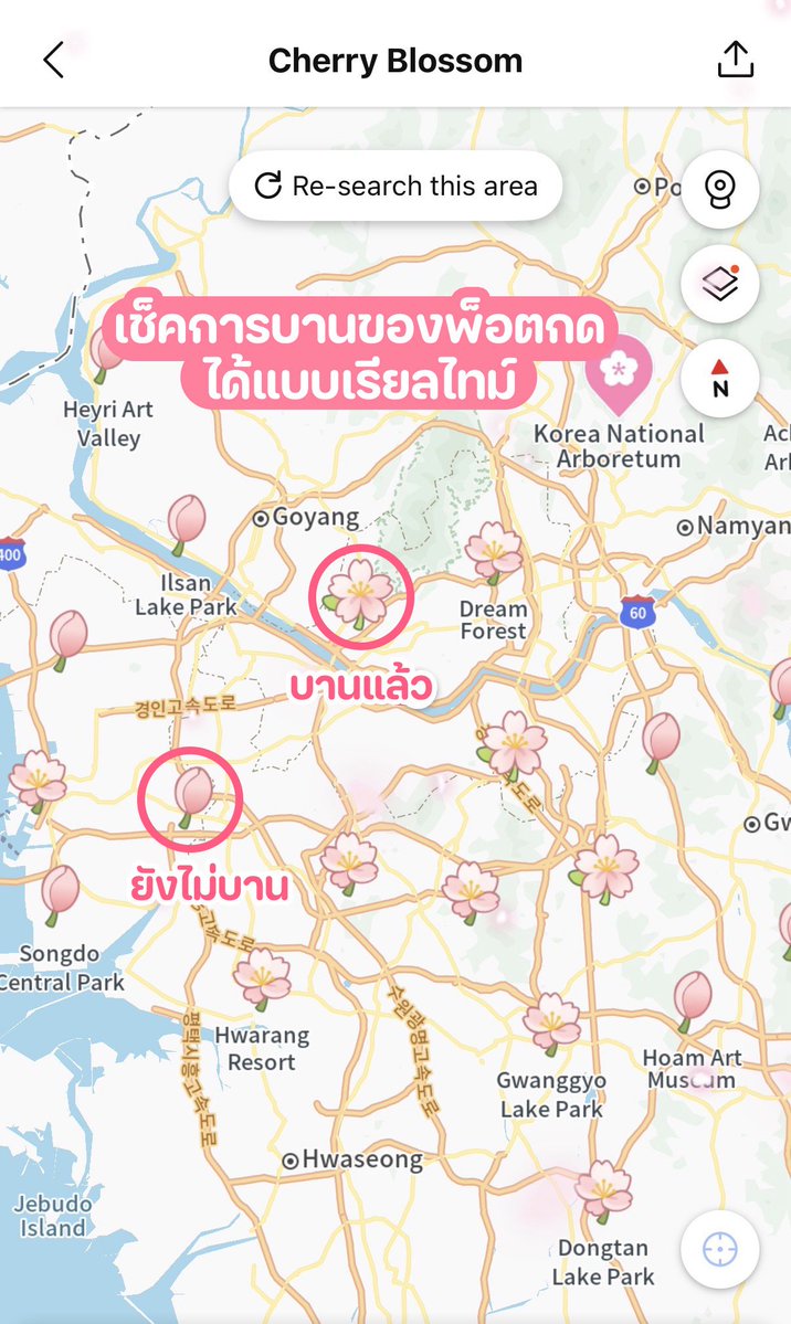 เม้าท์มอยเกาหลี tweet media