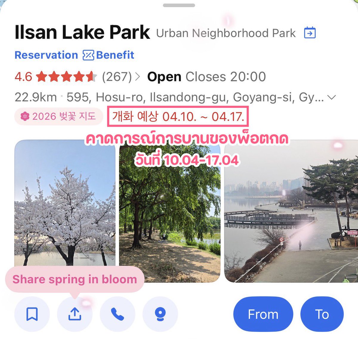 เม้าท์มอยเกาหลี tweet media