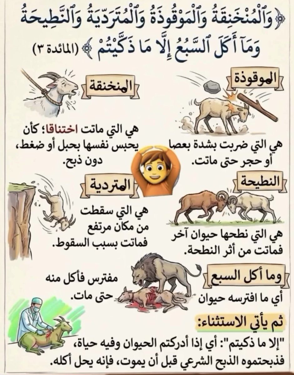 وليد tweet media