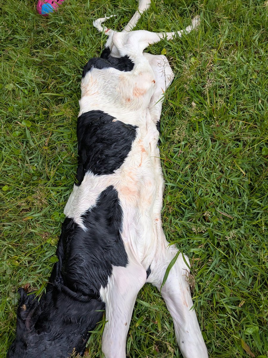 Ntare Guy tweet media