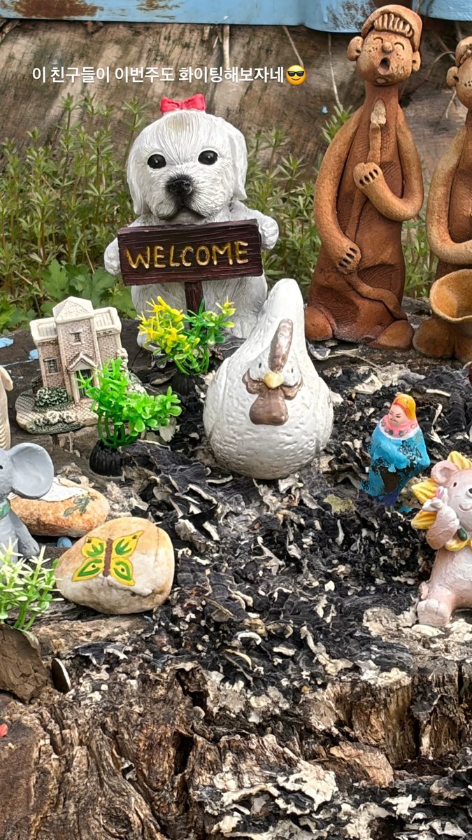 𝐉𝐎𝐎𝐂𝐇𝐀𝐍 𝐈𝐍𝐒𝐓𝐀𝐆𝐑𝐀𝐌 tweet media