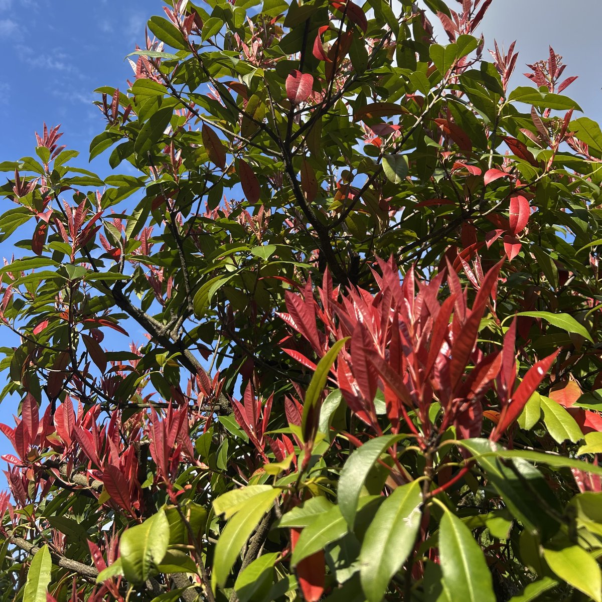 福井県立大学 tweet media