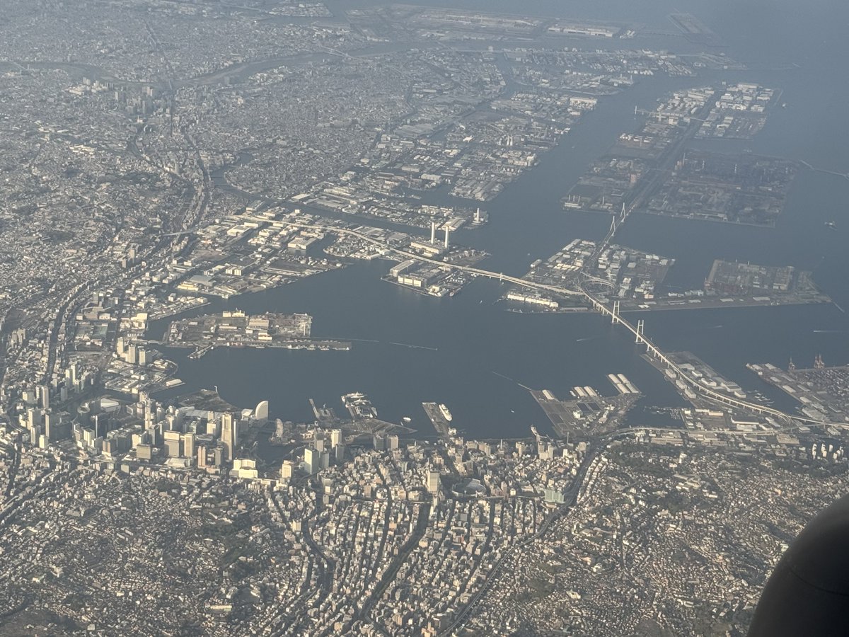 影艶𓃠🌌ゆめぎんが tweet media