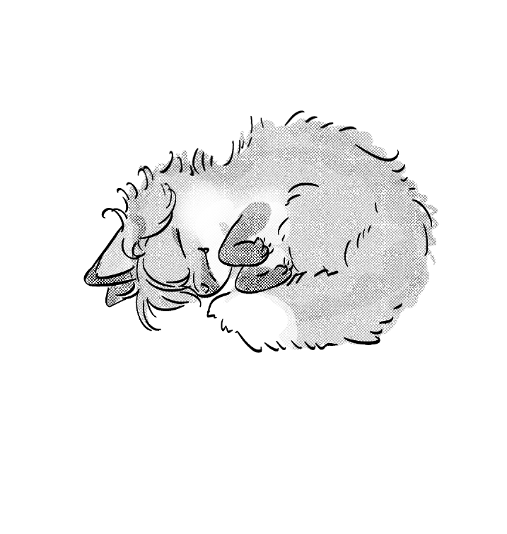 울랄랍숑 tweet media