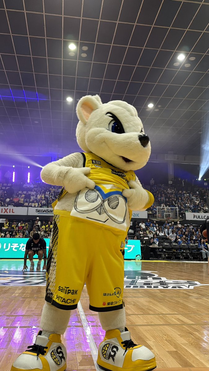 サンディー tweet media