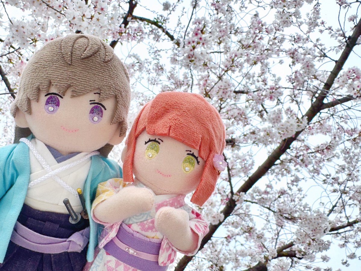 おやすみのオギー tweet media