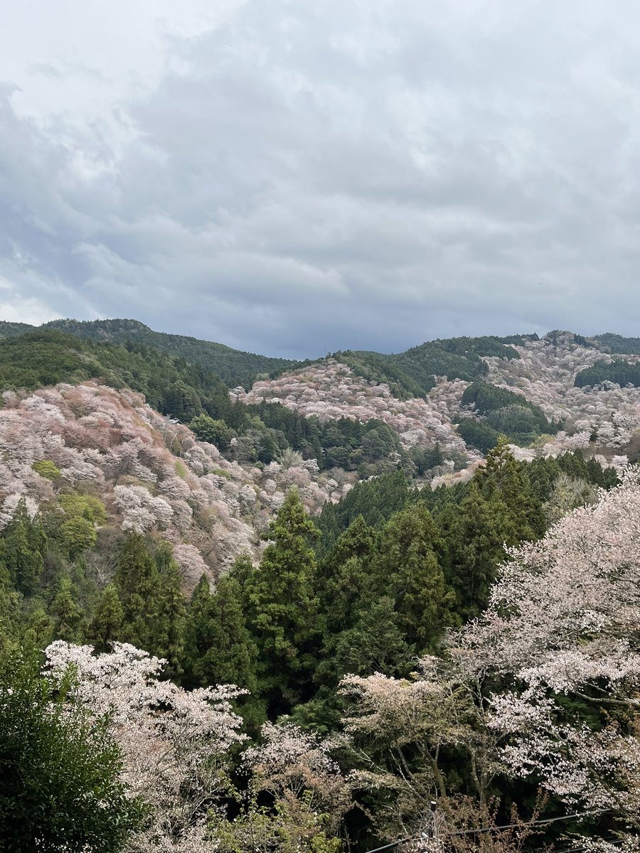 ビギナー tweet media