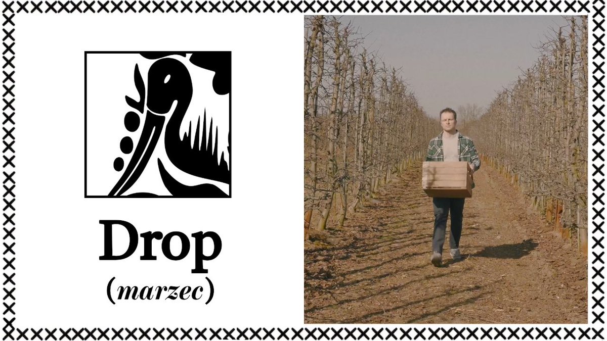 Kamil Pivot tweet media