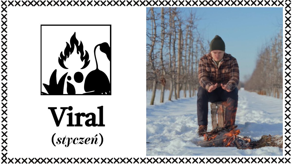 Kamil Pivot tweet media